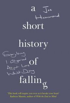 a-short-history-of-falling-everything-i-observed