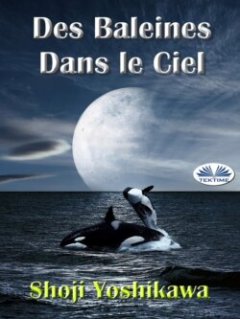 des-baleines-dans-le-ciel