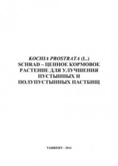 kochia-prostrata-l-schrad-