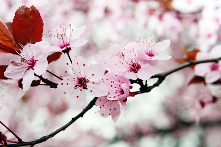 �������������� - �����