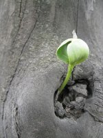 ������� ������ �� ��������� �����.