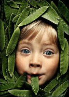 ��� ����� ��� ��������