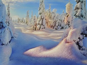 �������������