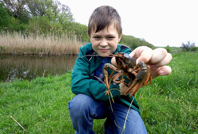 Мальчик наловил жуков всего 8 штук. Мальчик и Жук. Дети на рыбной ловле Рачков. Ловит жука. Мальчик в руках Жук.