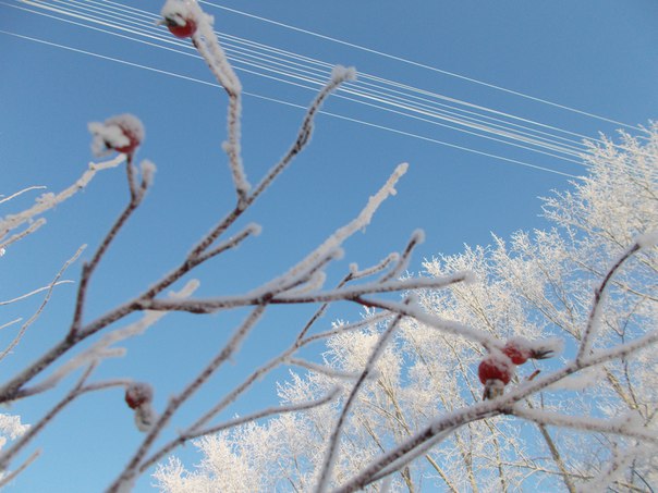 ����� �� ������?