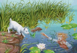 ���������