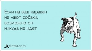 �������� ���� ���������..