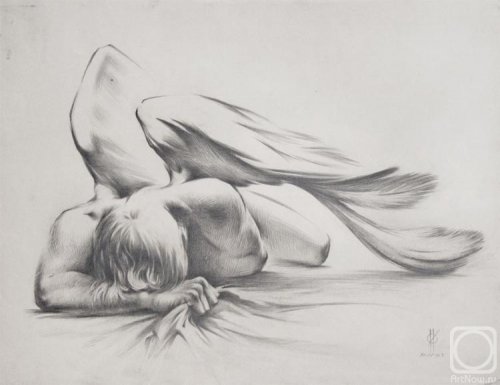 ������� ������ (24.05.2017 �)