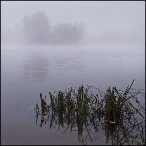 ��� ������