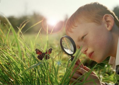 ����������, ����!