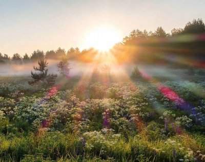 ����������, ����!