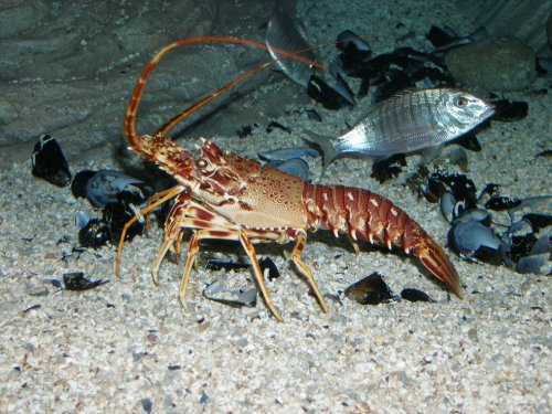 �������