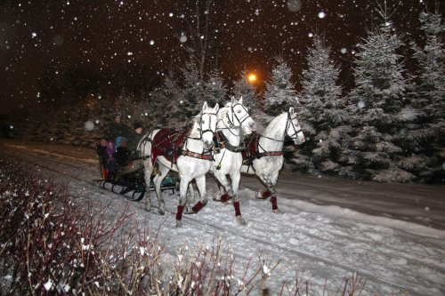 ������� ���� - ����