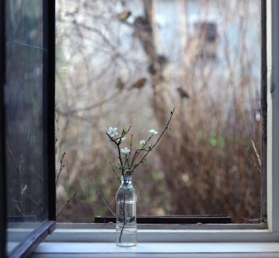 ������� ���� - �����