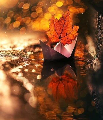 ���� ����������