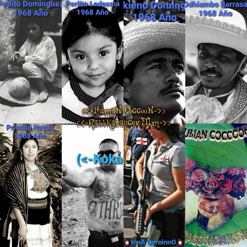 HumaN CoccooN - ������������ �����