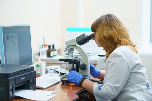 ������������ ������� ����������� �������