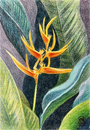 ����� � �������... (652)