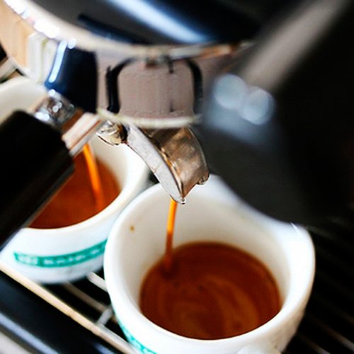 ������������ ������������ ����