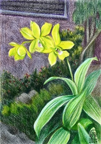 ����� � �������... (659)