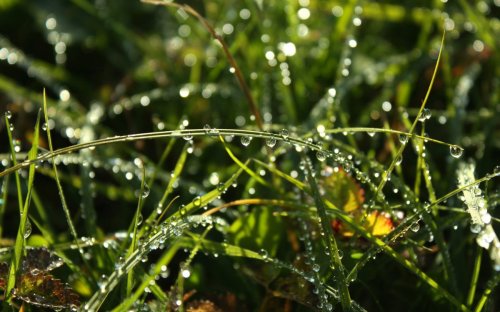 � ��������� ������