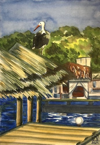 ����� � �������... (667)