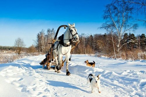 �������