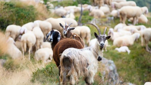 ���� � ������