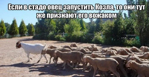 ���� � ������