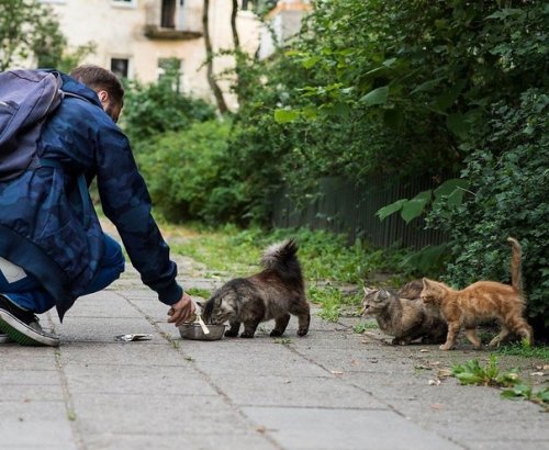 �������