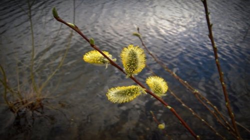 ����� � �������