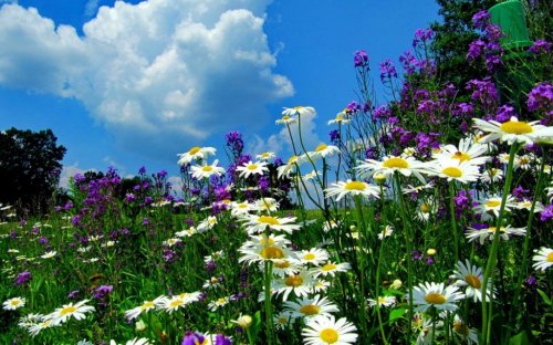 ������  ������