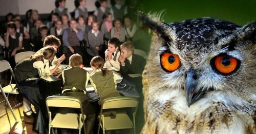 02, ��� ��������� ����� �������