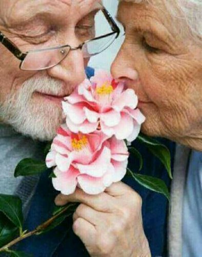 ���� � �������