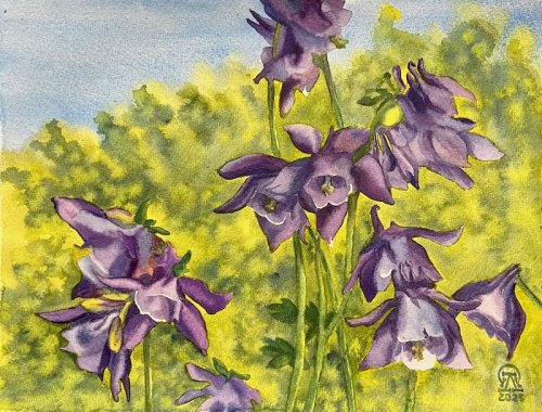 ����� � �������... (682)