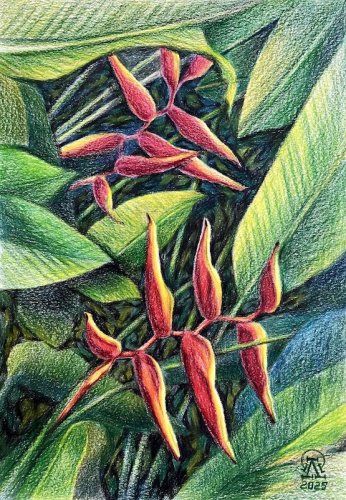 ����� � �������... (683)