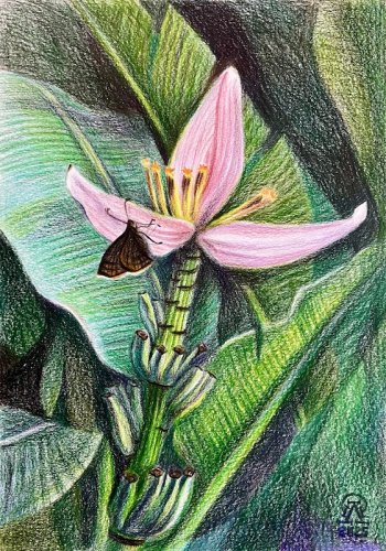 �����������...