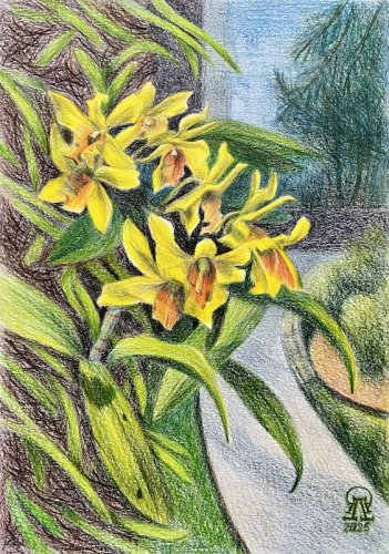 ������� ����...