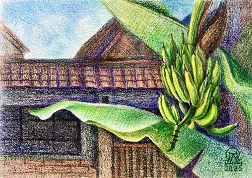 ����� � �������... (685)