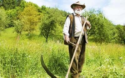 ��� ������ � �������