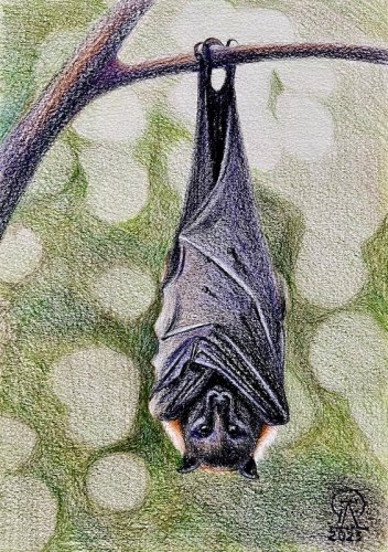 ����� � �������... (688)