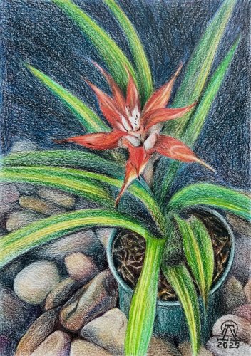 ����� � �������... (694)