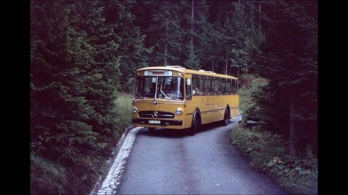 ���� �������