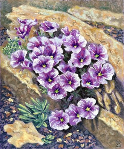 ����� � �������... (695)