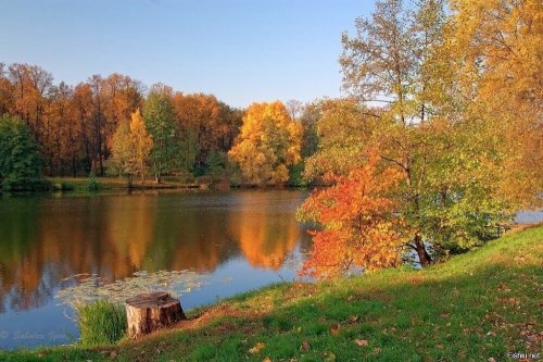 ������� ������� �����