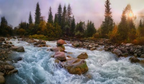 ����� � ���� ������