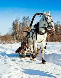 �� �����