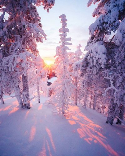 ������ ����������