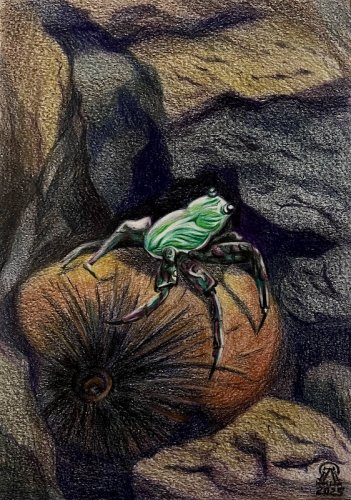 ����� � �������... (706)